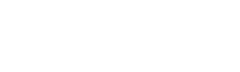 Pollini